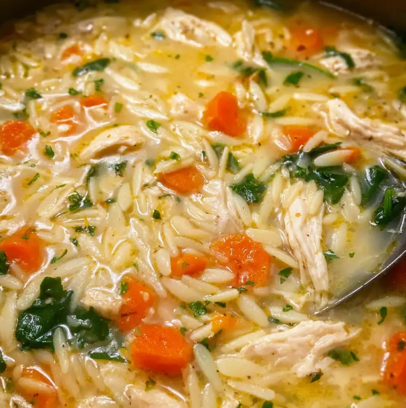 Lemon Chicken Orzo Soup