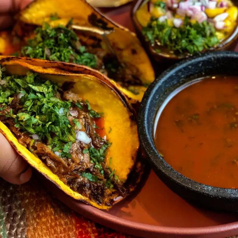 Fave Birria Tacos